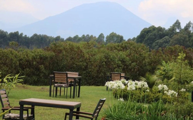 Da Vinci Gorilla Lodge