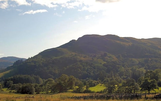 Cosy Rowan woodland lodge no3