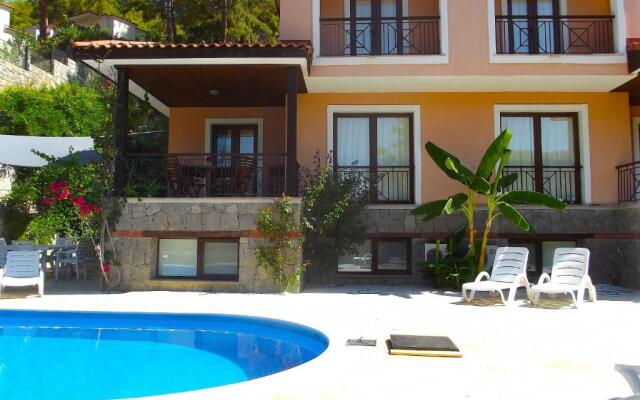 Villa Olive 7