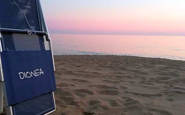 B&B Dionea