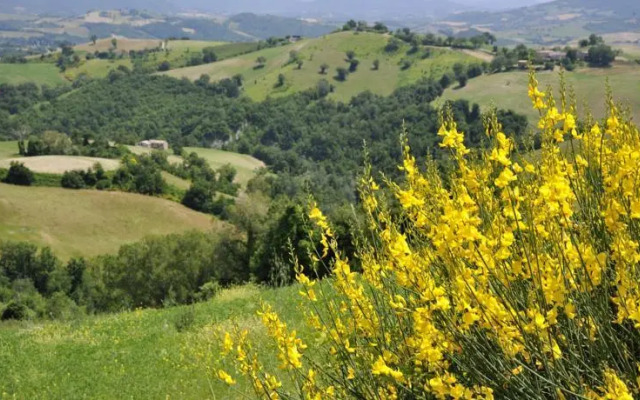 Casa Tartufo