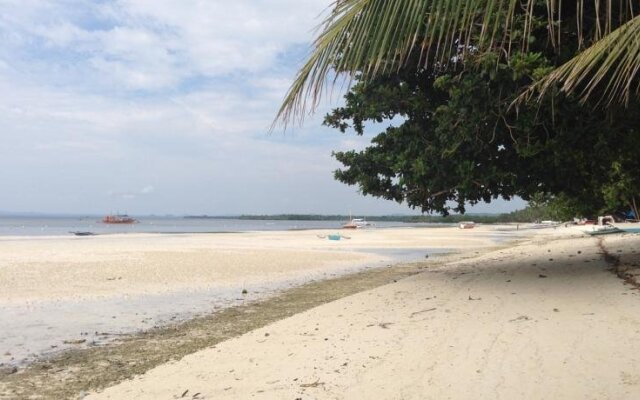 Palm Island Hotel and Dive Resort