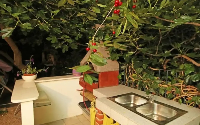 Zeljko - With Nice Garden - H