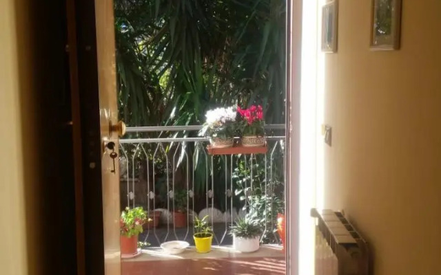 House on Anagnino 64