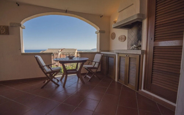 Uliveto con Vista