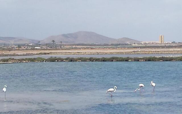 Inmovecos Alisios 329