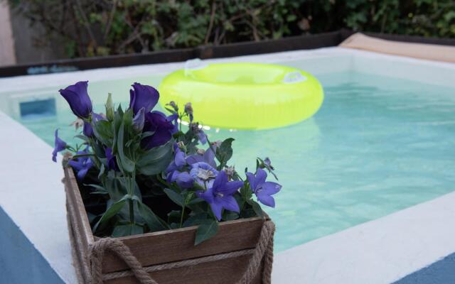 Dandy villas  Blue Pansy