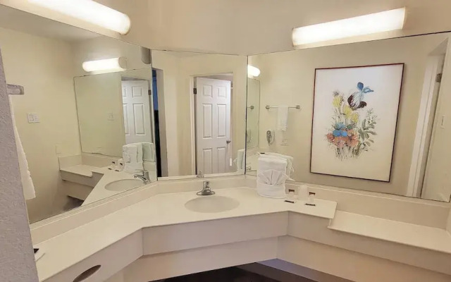 Flex Studios Culebra