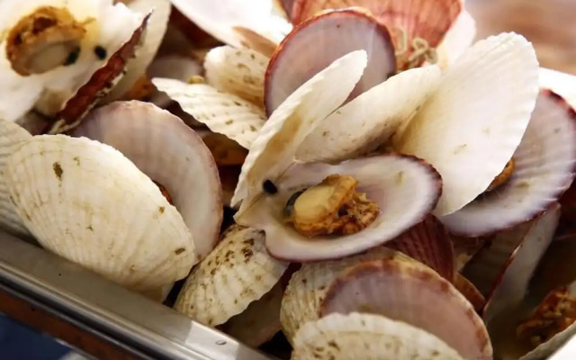 Guest House FUJI-HAKONE LAND - Hostel