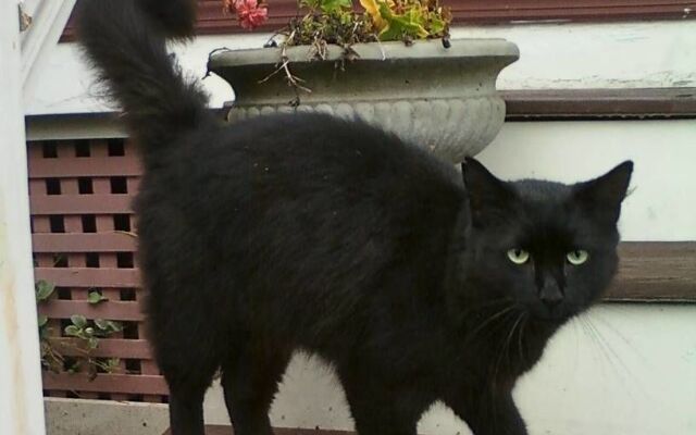 The Sleigh Maker Inn Bed and Breakfast