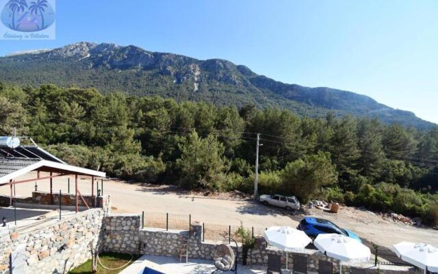 Desen Villa 2