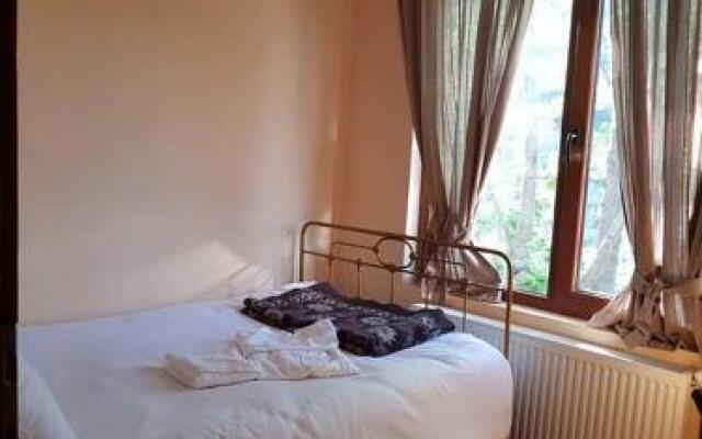Guest House Bor
