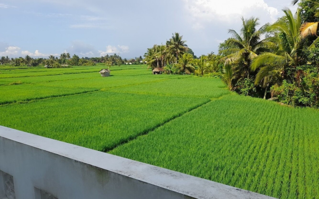 Casablanca Ubud Boutique Hotel