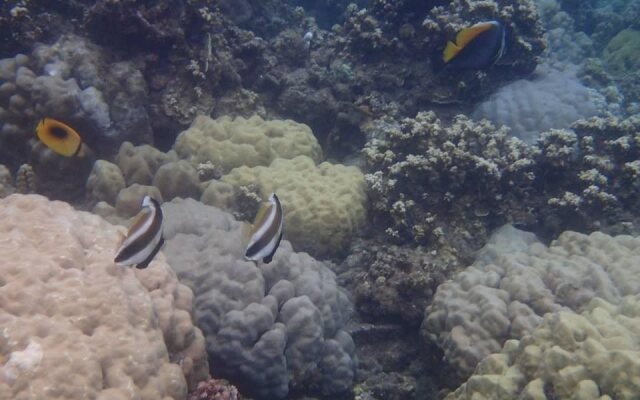 The Assemblage Point Resort and Convention Hub