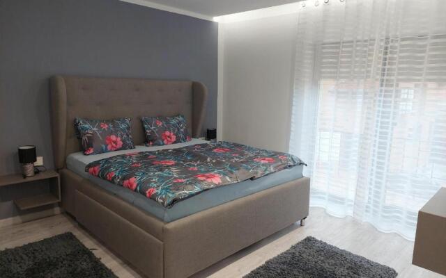 Blue Central House, curte proprie