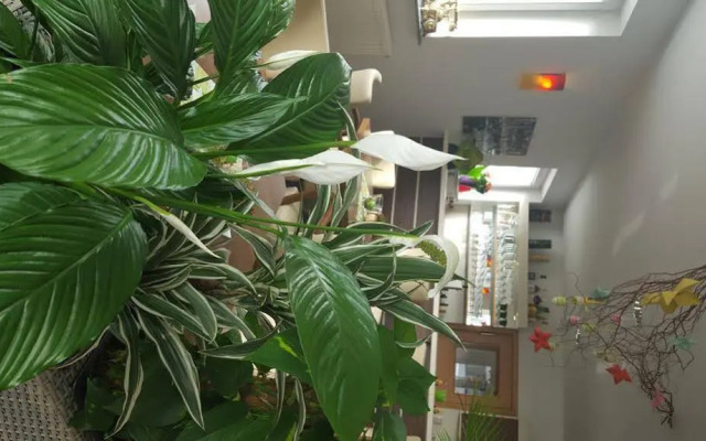 Hotel Beuss