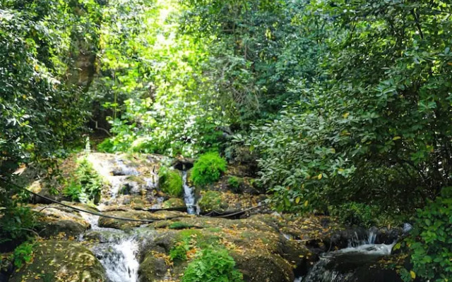 Waterfall Heaven House