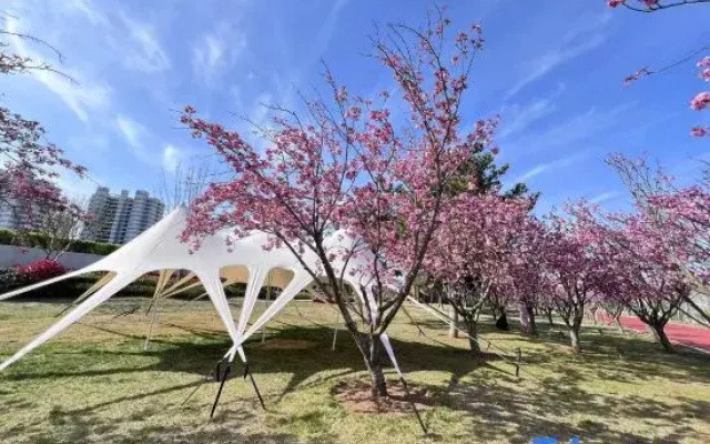 Jingxi Daojia Hotel (Rongcheng Downtown Cherry Lake Sports Park)