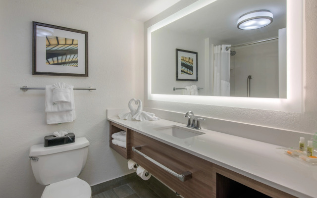 Holiday Inn Melbourne-Viera Conference Ctr by IHG