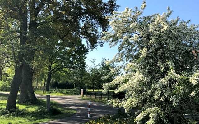 Schaap8 Bed en Breakfast