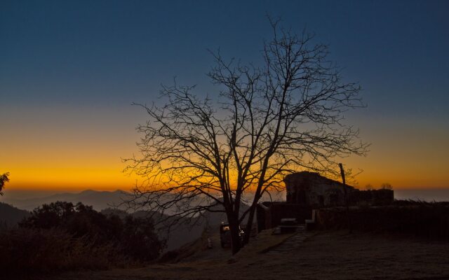 Tree of Life Grand Oak Manor, Binsar Wildlife Sanctuary