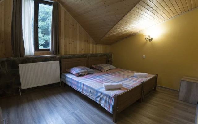 Hotel Eco House In Bakuriani