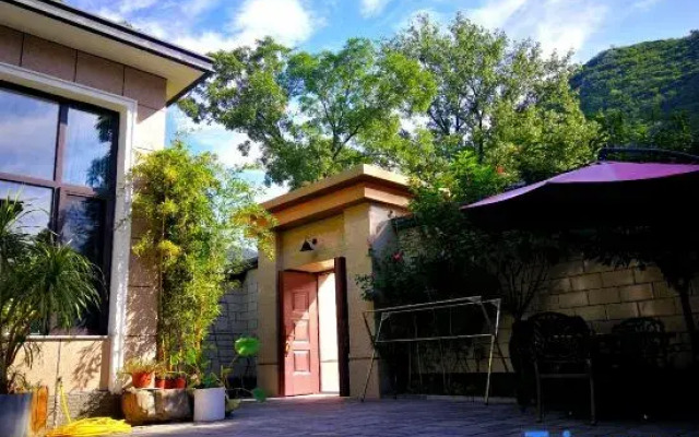 Three Houses and One Cat B&B