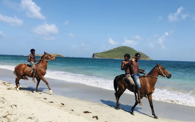 A Paradise View