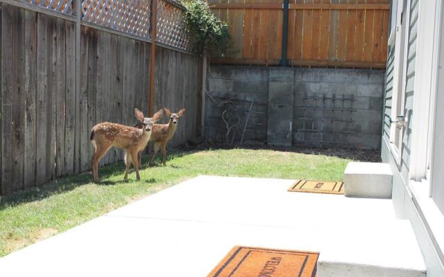 The Pioneer - Craftsman House