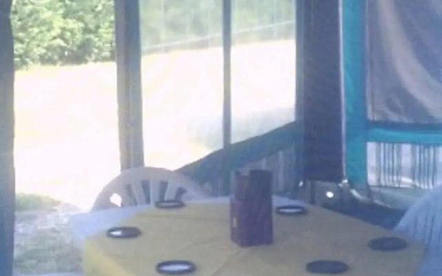 Mobile Homes Surrounded by Greenery