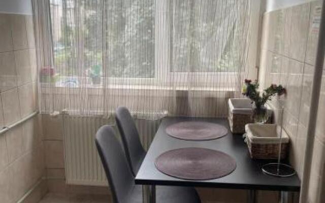 Alecsandra S Apartment Ultracentral