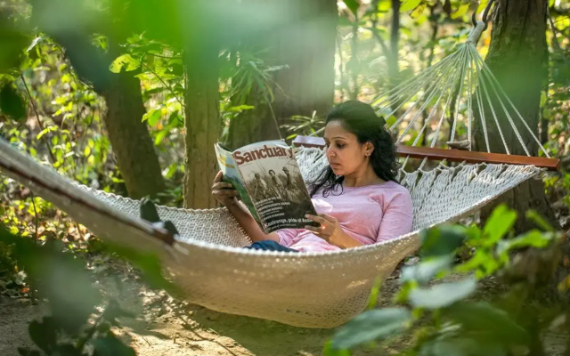 Kanha Jungle Lodge
