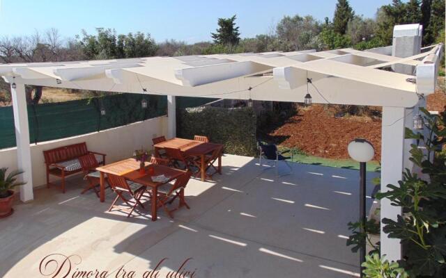 Dimora tra gli ulivi