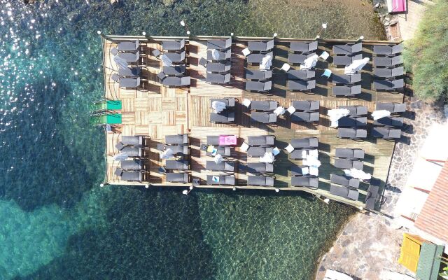 Velena Bodrum