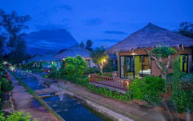 Aurora Resort