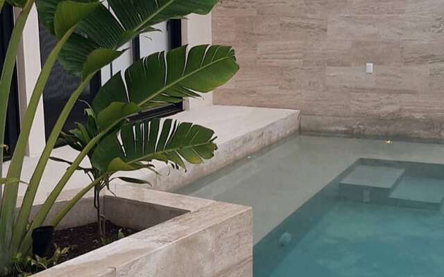 Beautiful Studio With Rooftop Ahrat 8