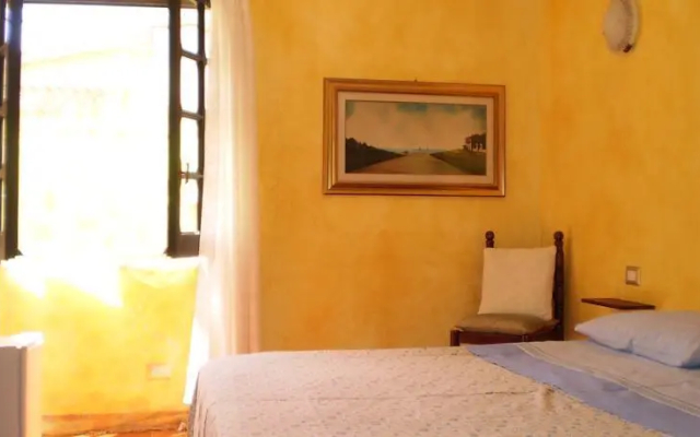 B&B Araxi