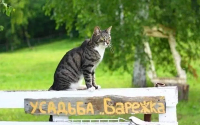 Сельская Усадьба Варежка