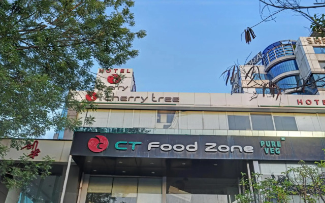 ZO Cherry Tree Palasia