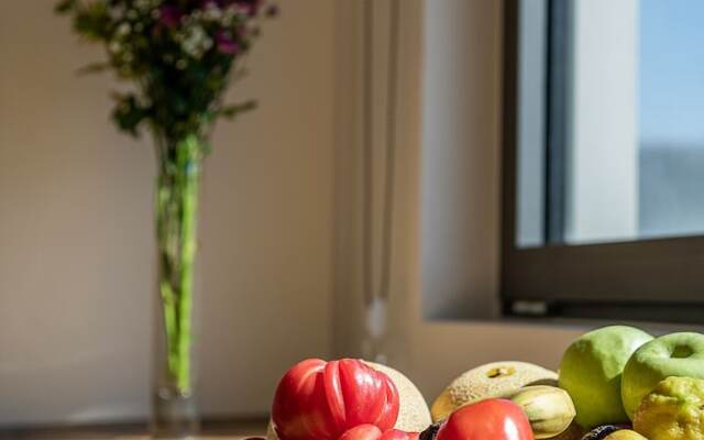 Seametry Luxrury Living Penthouse