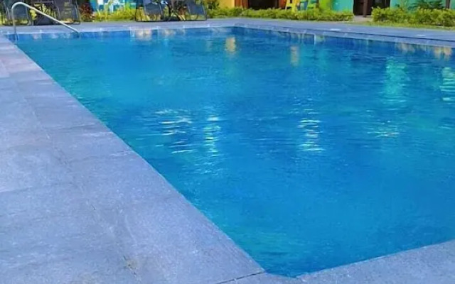 Caribbean Blue Morpho