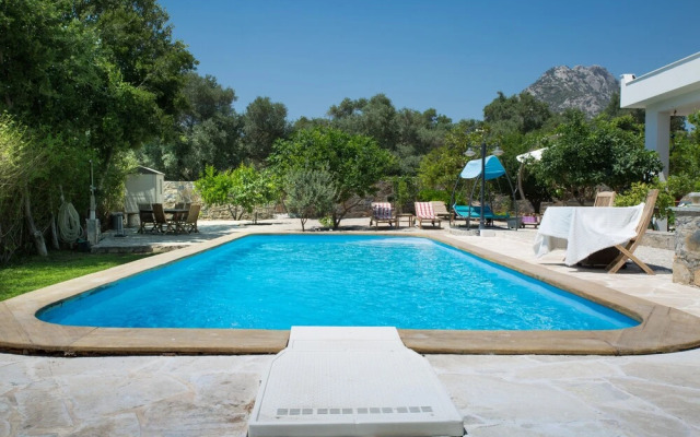 Important Group | Villa Daisy