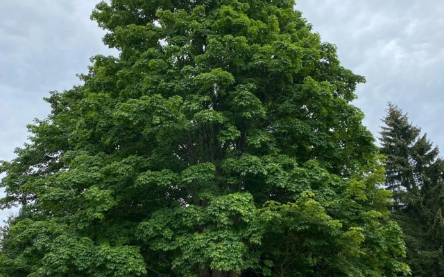 Slunný byt 2 a kk v Jizerkách