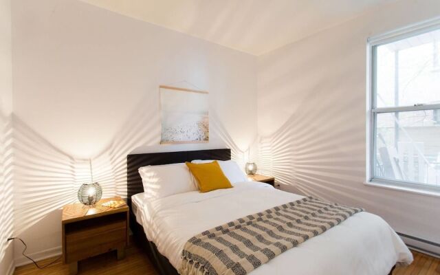 Live Like a Local in Le Plateau
