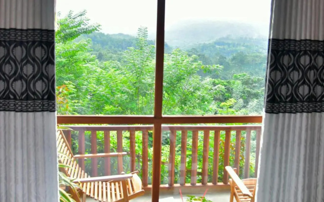 Rainforest Nature House