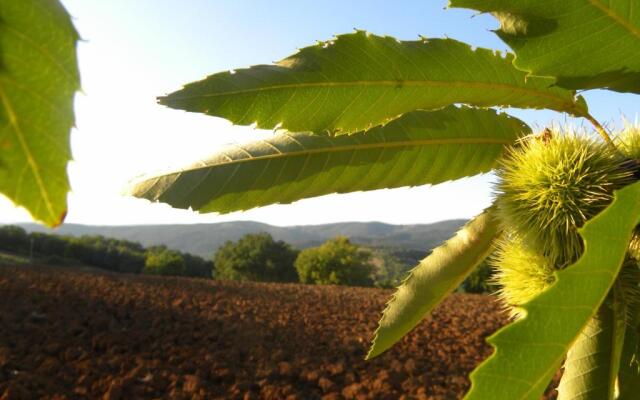 Agriristoro Podere S. Andrea