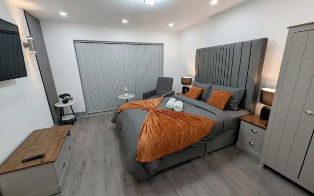 Spacious and Comfortable Modern Rooms