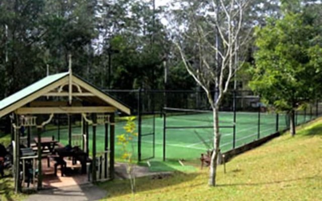 Barrington Wilderness Cedar Lodge Accommodation