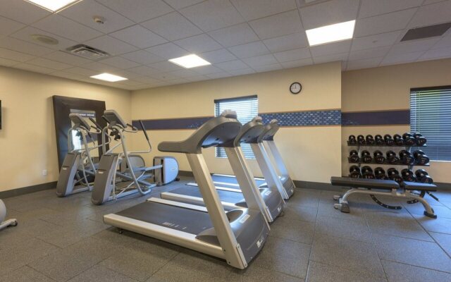 Hampton Inn Buffalo-Hamburg