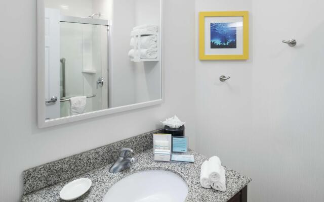 Hampton Inn & Suites Atlanta-Downtown